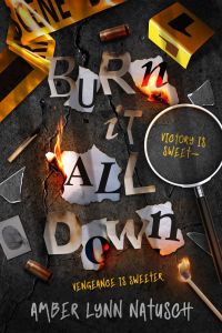 Book Cover: Burn It All Down